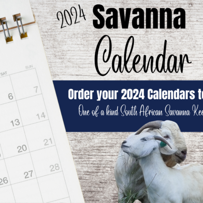 2024 - Savanna Spectacular Calendar! (Package of 6)